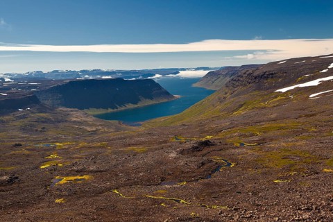Hornstrandir