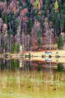 Autumnal forest and hut with a reflection in Lake Ferchensee