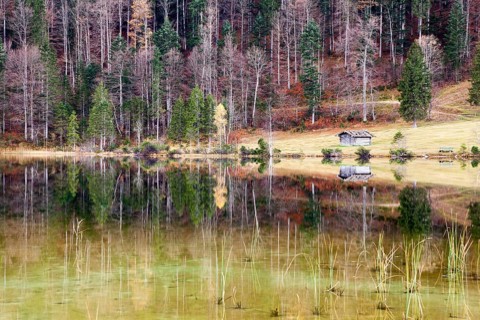Autumnal forest and hut with a reflection in Lake Ferchensee