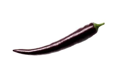 Black chili pepper