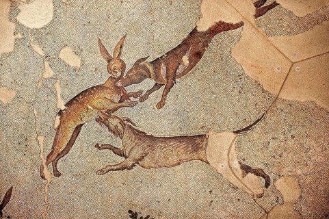 6th century Byzantine Roman hare hunt mosaics from the peristyle of the Great Palace from the reign of Emperor Justinian I.