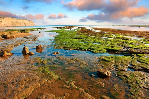 Rock pools on the beach of the historic fishing village of Robin Hood's Bay