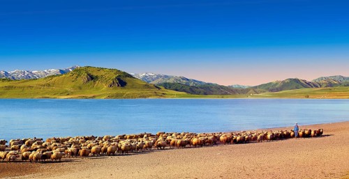 Herd of sheep and shepherd on the shore of Lake Van
