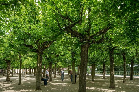 Baroque lime boscage with bocce players