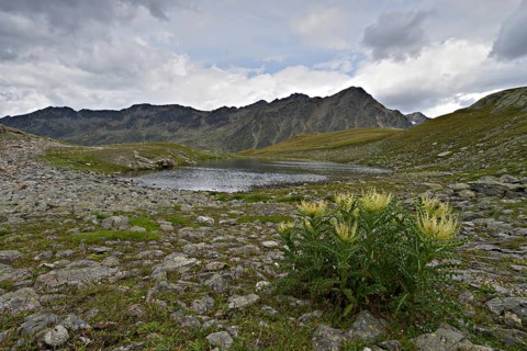 Mountain lake at Timmelsjoch