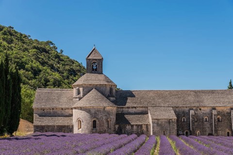 Cistercian Senanque Abbey with lavender field