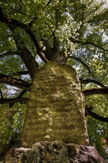 Glacial erratic rock hewn with the Wessobrunn Prayer or the Wessobrunn Creation Poem