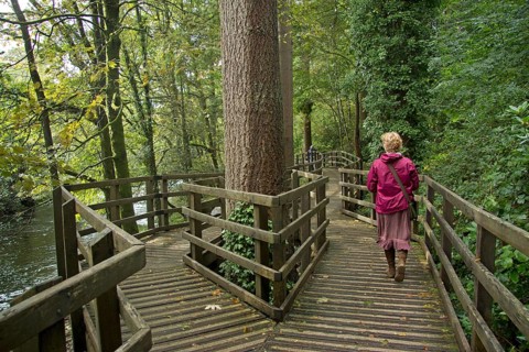 Woman walking along a boardwalk