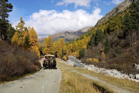 Horse-drawn carriage