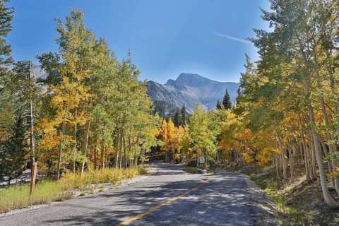 A road on the Wheeler Peak in fall