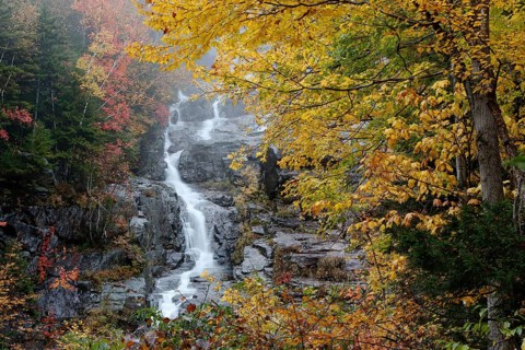 Silver Cascade