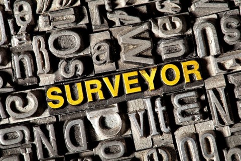 Old lead letters forming the word Surveyor