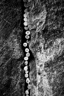 Cigarette butts stuck in a crack in a rock