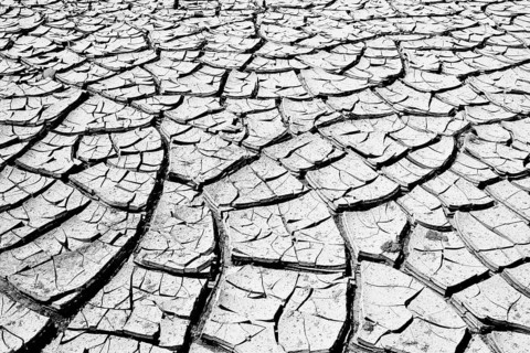 Cracked mud in a dried up water hole