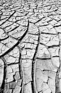 Cracked mud in a dried up water hole