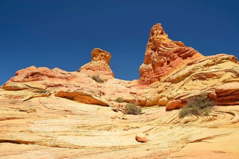 Brain Rocks of the Coyote Buttes South CBS