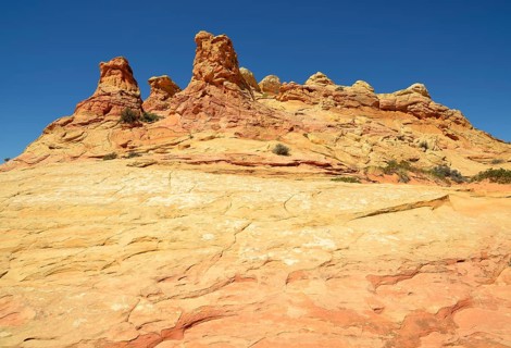 Brain Rocks of the Coyote Buttes South CBS