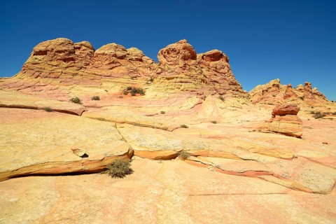 Brain Rocks of the Coyote Buttes South CBS