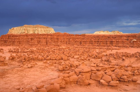 Wild Horse Mesa