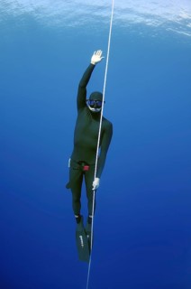 Freediver