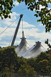 Canopy-structure in the Olympic Park