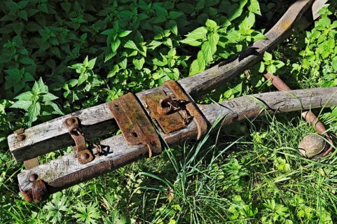 Old wagon tongue and stinging nettles