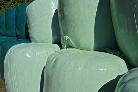 Hay bales wrapped in green plastic sheeting