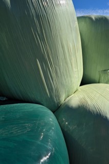 Hay bales wrapped in green plastic sheeting