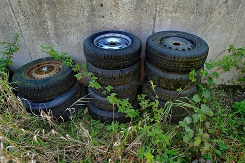 Old car tires between nettles
