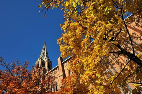 Mariahilf Church with a Maple (Acer) with autumn leaves
