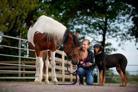 Girl with a horse and a Doberman