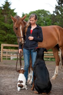 Girl with a horse and dogs