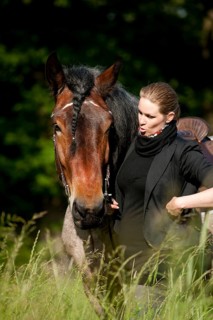Woman with a Belgian Draft Horse in a meadow