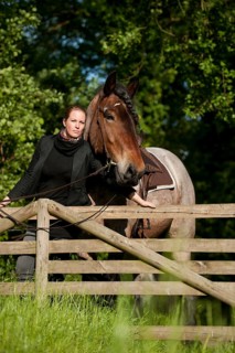 Woman with a Belgian Draft Horse at a fence