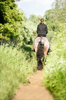 Woman riding a Belgian Draft horse along a path