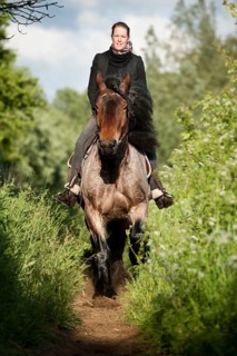 Woman riding a Belgian Draft horse