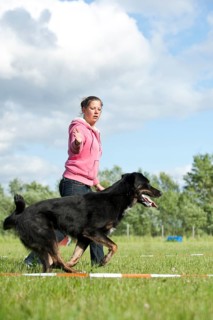 Woman longeing a mixed-breed dog