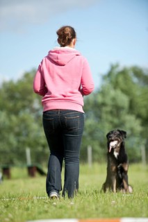 Woman longeing a mixed-breed dog