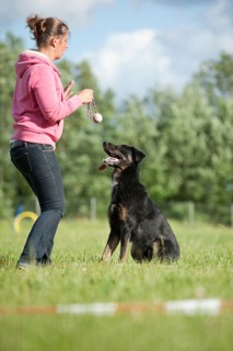 Woman longeing a mixed-breed dog