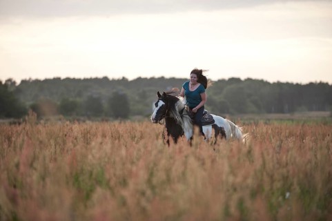 Woman gallopping on an Irish Tinker across a meadow
