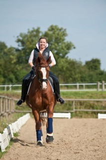 Woman riding a galloping Hanoverian horse