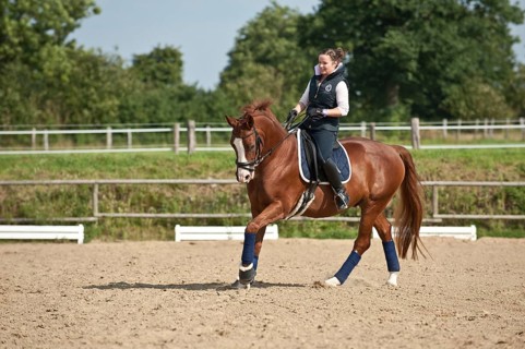 Woman riding a galloping Hanoverian horse