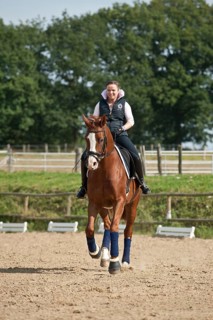Woman riding a galloping Hanoverian horse