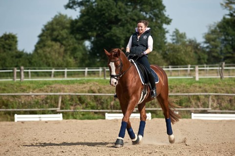 Woman riding a trotting Hanoverian horse
