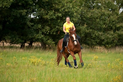 Woman riding a galloping Hanoverian horse in a meadow
