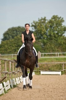 Woman riding a trotting Holsteiner horse
