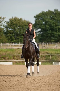Woman riding a trotting Holsteiner horse