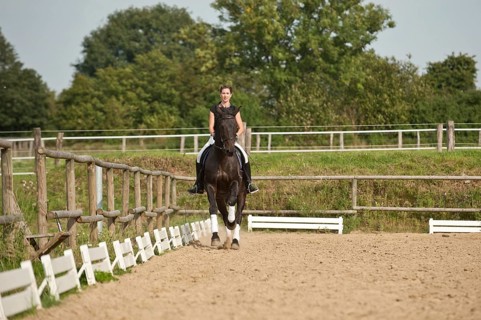 Woman riding a galloping Holsteiner horse