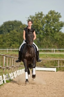 Woman riding a galloping Holsteiner horse