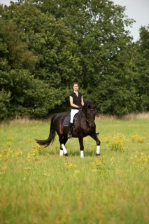 Woman riding a trotting Holsteiner horse across a meadow